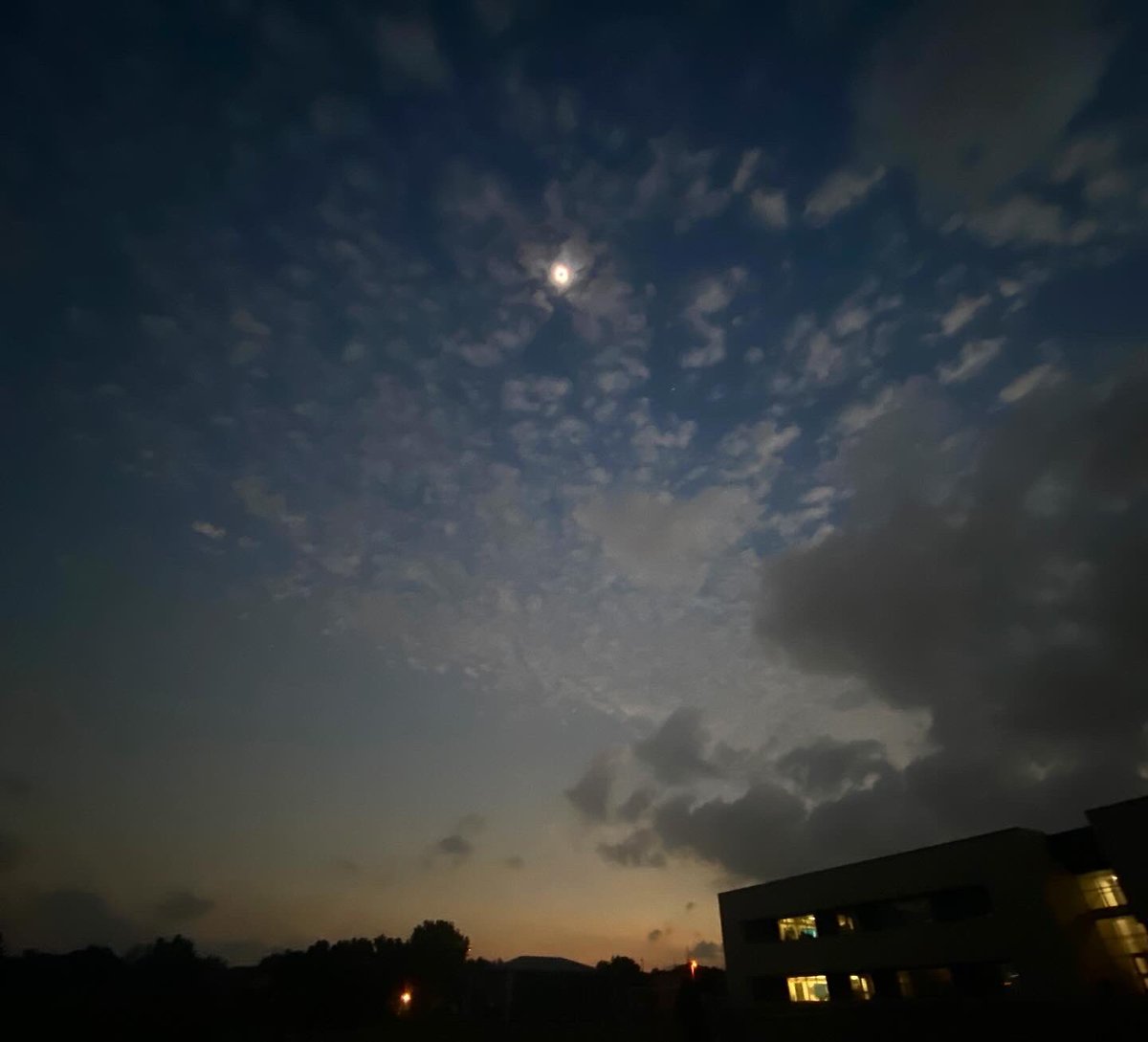 Amy Kitzman tweet media