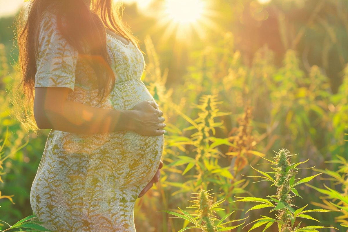 Cannabis in Pregnancy Linked to Autism and ADHD Risk

Prenatal exposure to cannabis use disorder (CUD) significantly elevates the risk of neurodevelopmental disorders such as ADHD, ASD, and intellectual disability in children. 

Analyzing data from over 222,000 pairs in New South…