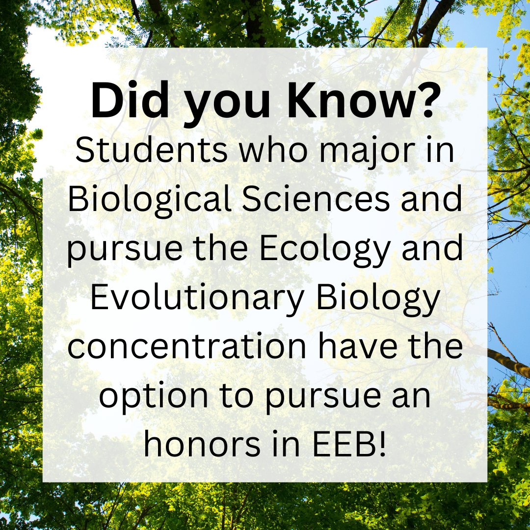 Happy #MajorMonday!

Interested in an honors concentration in EEB? Check out tinyurl.com/EEB-Honors!
