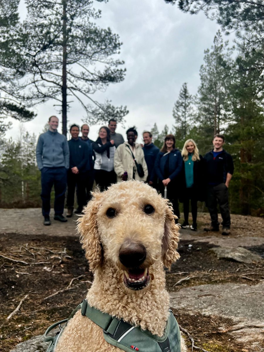 GeoGen workshop day 1 was a huge success thanks to our excellent host, Rufus, who graciously took a selfie of himself while blurring the rest of us in the background. 🐾🐕 ⁦@EivindY⁩ ⁦@PerlineDemange⁩ ⁦@ZiadaAyorech⁩ 😅😂🤣