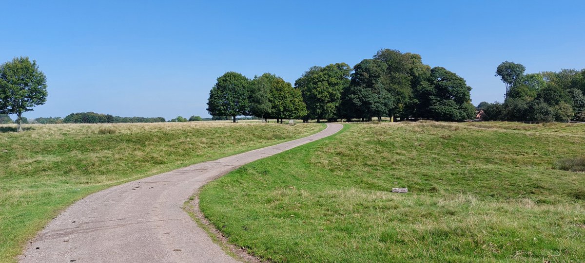 The long and winding road ............ @tatton_park