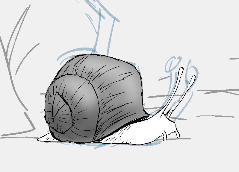 Didn't get to do a warm-up this morning, but here, have a widdle snail instead.