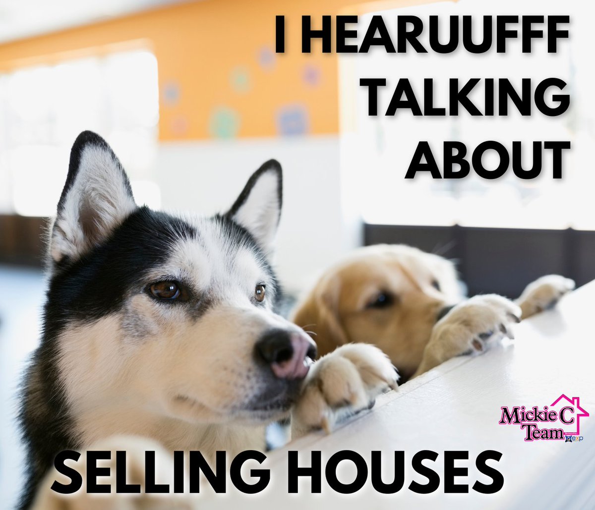 I hearufff you talking about selling house  🏡😁
Contact us:⁠
281 717 4412⁠
callmickiec.com
team@callmickiec.com
⁠
#texasliving #movetotexasfromcalifornia #relocatetotexas
#Texasyourstate #katytxhouses #texashomesforsale #texasrealty #ilovetexas #texaslife