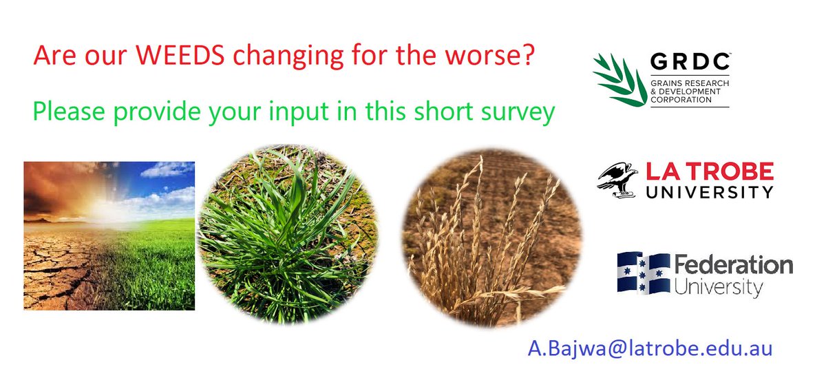 Ali Bajwa (@a1bajwa) on Twitter photo Australian #agronomists, #growers, and #researchers managing #weeds in grains production, are you concerned about the changing #weed_ecology? Please help our <a href="/theGRDC/">GRDC</a> project by completing a brief survey: federation.syd1.qualtrics.com/jfe/form/SV_20…
<a href="/theGRDC/">GRDC</a> <a href="/WeedSmartAU/">WeedSmart</a> <a href="/WeedSmartAU/">WeedSmart</a> <a href="/SABE_latrobe/">La Trobe Agriculture, Biomedicine & Environment</a> Australian #agronomists, #growers, and #researchers managing #weeds in grains production, are you concerned about the changing #weed_ecology? Please help our <a href="/theGRDC/">GRDC</a> project by completing a brief survey: federation.syd1.qualtrics.com/jfe/form/SV_20…
<a href="/theGRDC/">GRDC</a> <a href="/WeedSmartAU/">WeedSmart</a> <a href="/WeedSmartAU/">WeedSmart</a> <a href="/SABE_latrobe/">La Trobe Agriculture, Biomedicine & Environment</a>