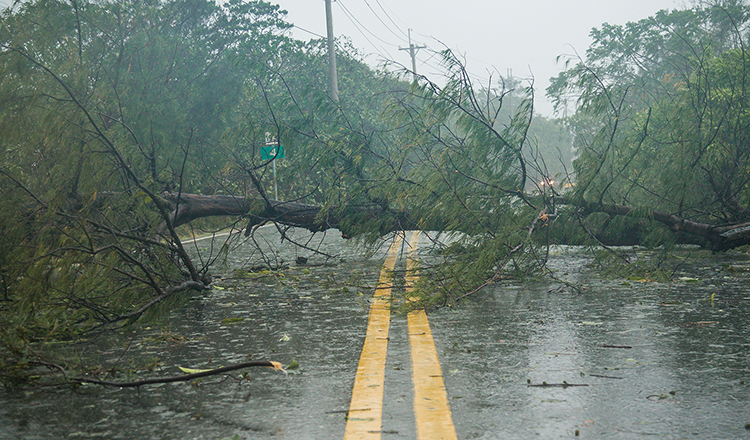 Minnesota is a land of 10,000 lakes — and tornados, floods, wildfires, extreme heat & other severe weather threats. Planning ahead is essential for safety during the toughest weather of the year. Learn more in our #DPSBlog: ow.ly/oe7c50RaSuz