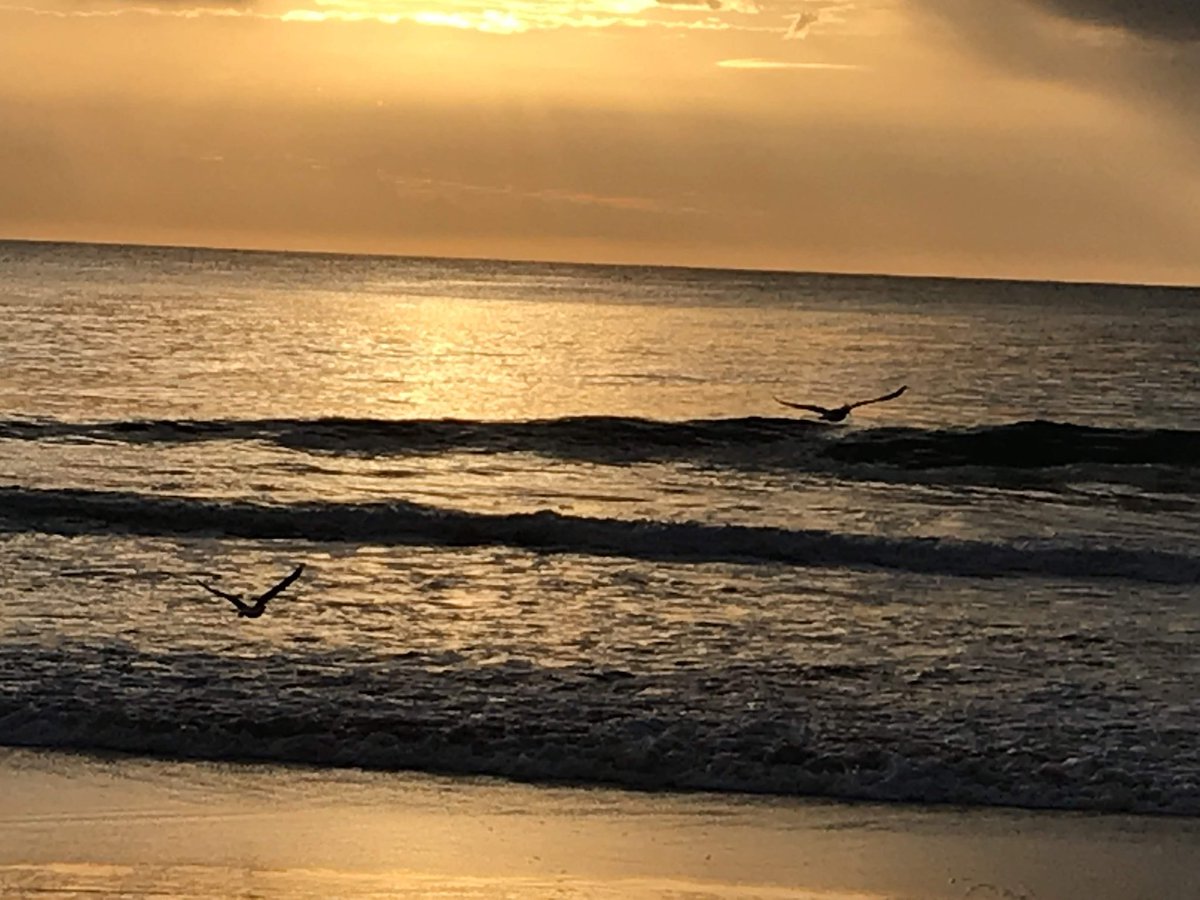 t4travel's tweet image. “Beaches”

#StormHour #ThePhotoHour #ThemeOfTheWeek