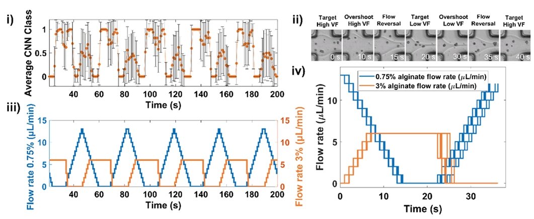 📢 Exciting news! Our paper on #microfluidics and #deeplearning has been accepted for publication!🎉 Check out our innovative image-based, closed-loop control system for generating unsupervised concentration gradients. @LSI_Exeter frontiersin.org/articles/10.33…