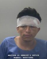 Libs of TikTok tweet media