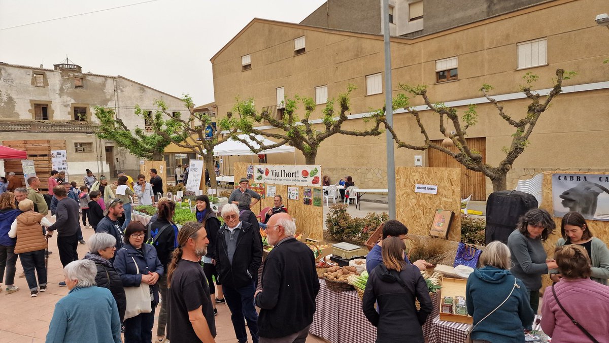 Fira Horticultura tweet media