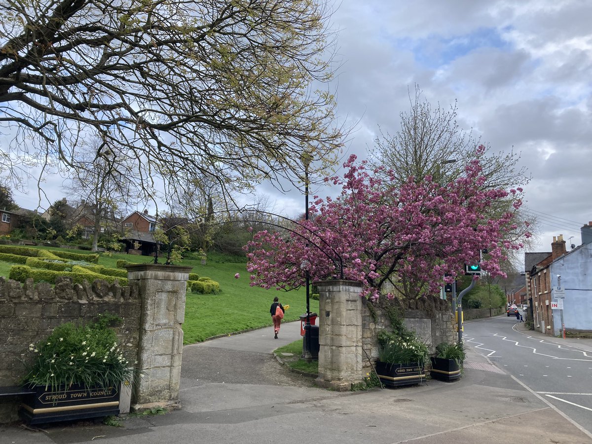 Trees 🌳 in Stroud are coming out early! This year #ClimateChange