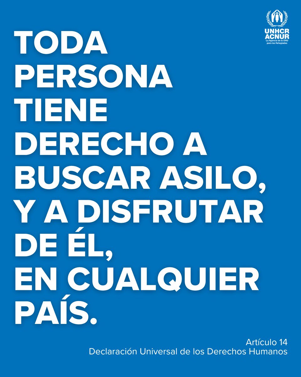 Naciones Unidas tweet media