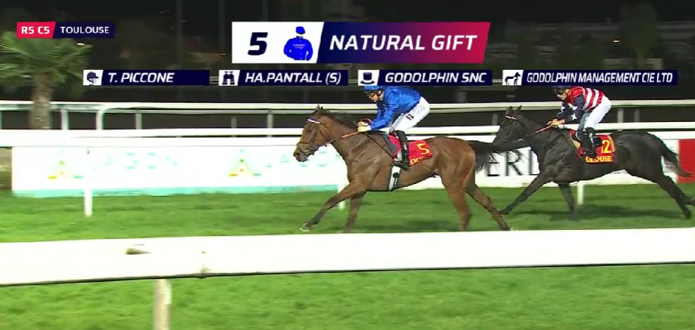 Make that the 564th individual winner for FRANKEL NATURAL GIFT (Frankel x Mairwen) is off the mark in France. She is owned and bred by GODOLPHIN. Again that Frankel x Dubawi cross Frankel also sired the 3rd in the race, Toptama who is trained by JC Rouget.