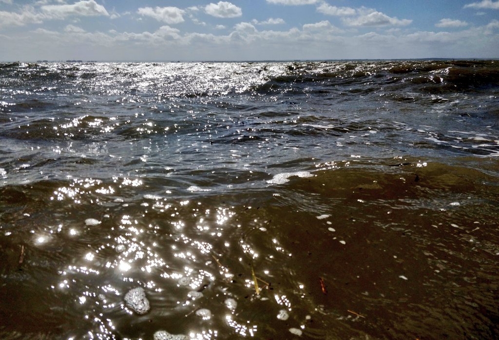 Green/ Glitter/ Glamour. #estuary