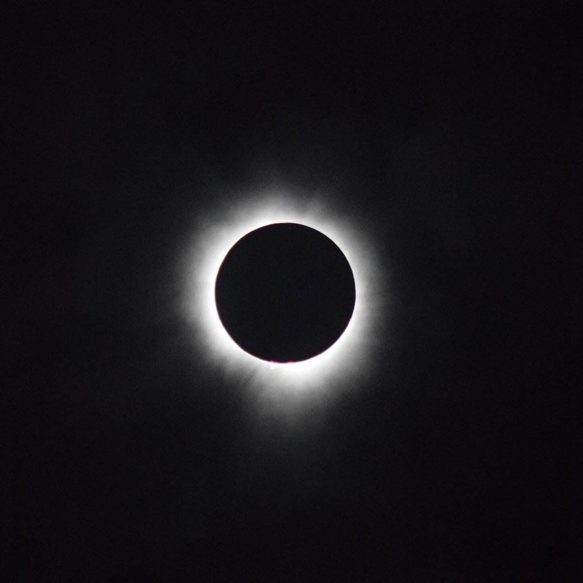 Coming out of Twitter retirement for this photo I took of the eclipse