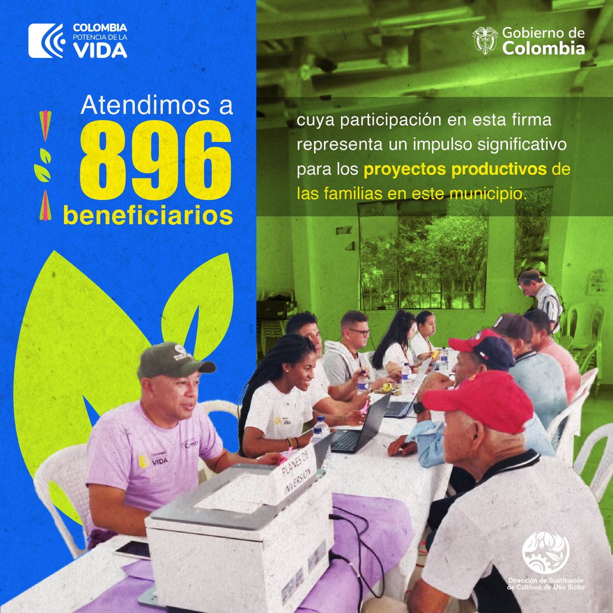 En las jornadas de levantamiento de planes de inversión en San Pablo, Bolívar, se atendieron a 896 beneficiarios. Este compromiso representa un paso crucial hacia la sustitución de cultivos de uso ilícito y hacia la consolidación de economías locales sostenibles.