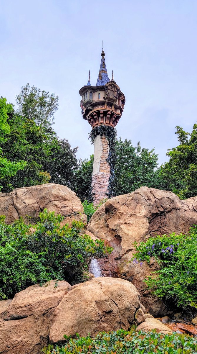 There is so much beauty around us... sometimes it's easy to see, sometimes it's more hidden.
Look for it in life, as well as in others, and you will be a happier person.

#WaltDisneyWorld 🏰✨️