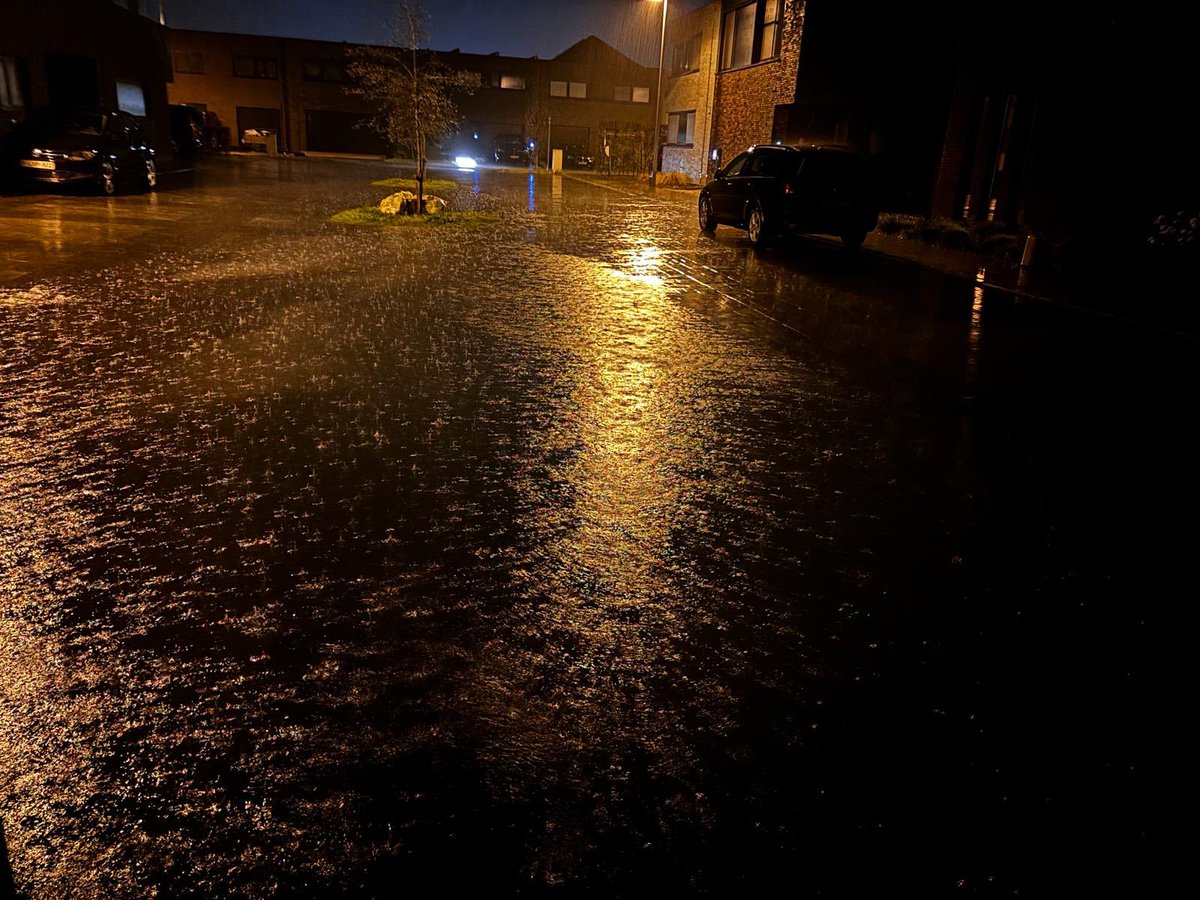 Steve Norman McLean tweet media