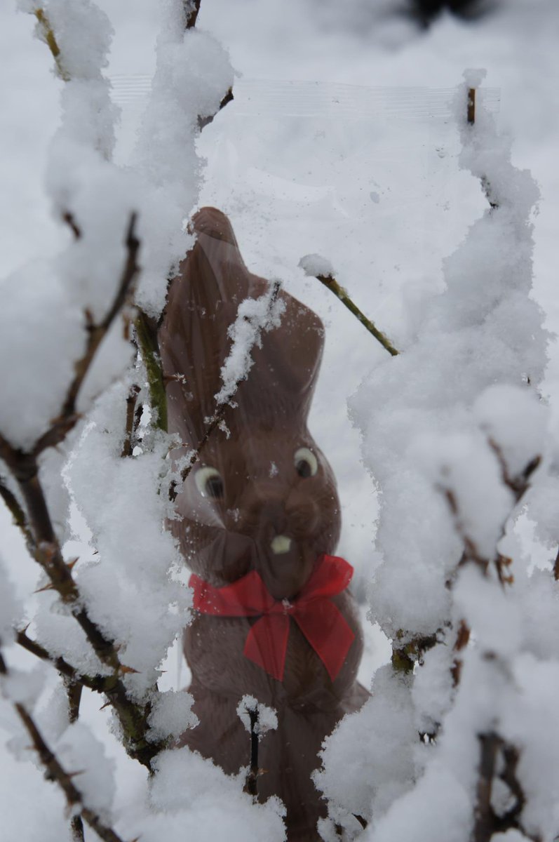 Lukas Lehner @meteolukas.bsky.social tweet media