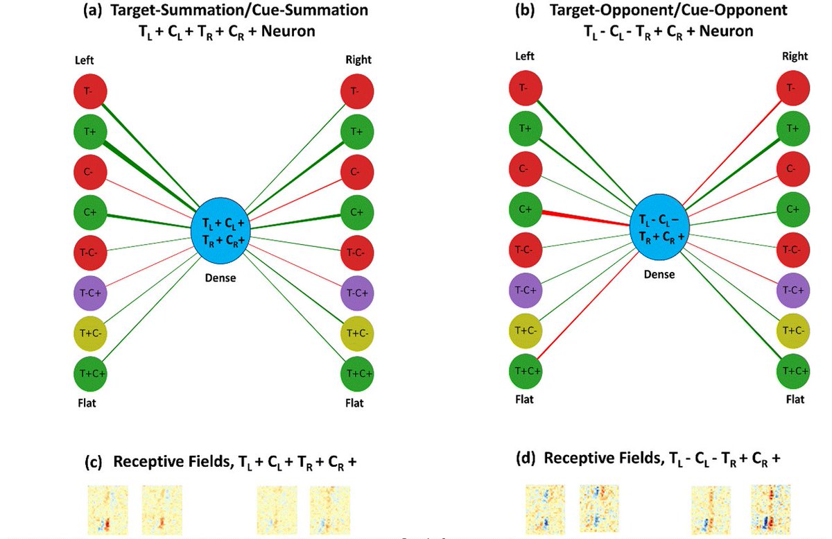 New preprint analyzing 1.8 million neurons of CNNs with emergent behavioral and neuronal signatures of covert attention without incorporating any explicit attention mechanism. With @sudh8887 @WilliamWangNLP biorxiv.org/content/10.110…