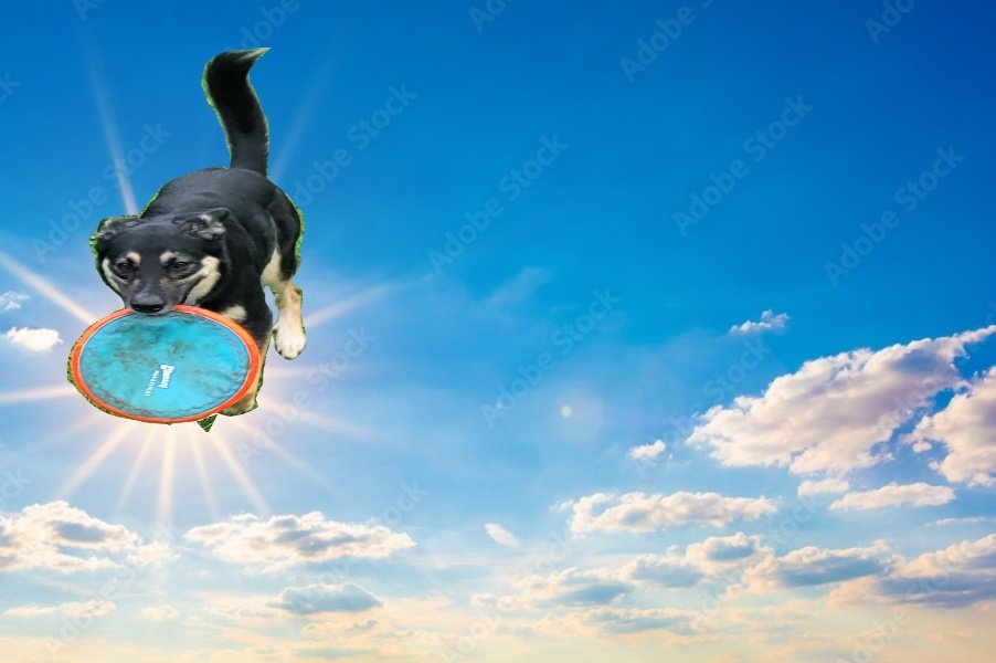 DinnerNumber2's tweet image. #Eclipse2024