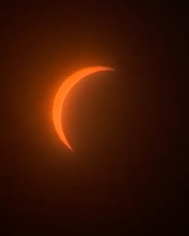 Watching the Solar Eclipse like 🌙 

#Solar #solareclipse #furryfandom  #EclipseSolar2024