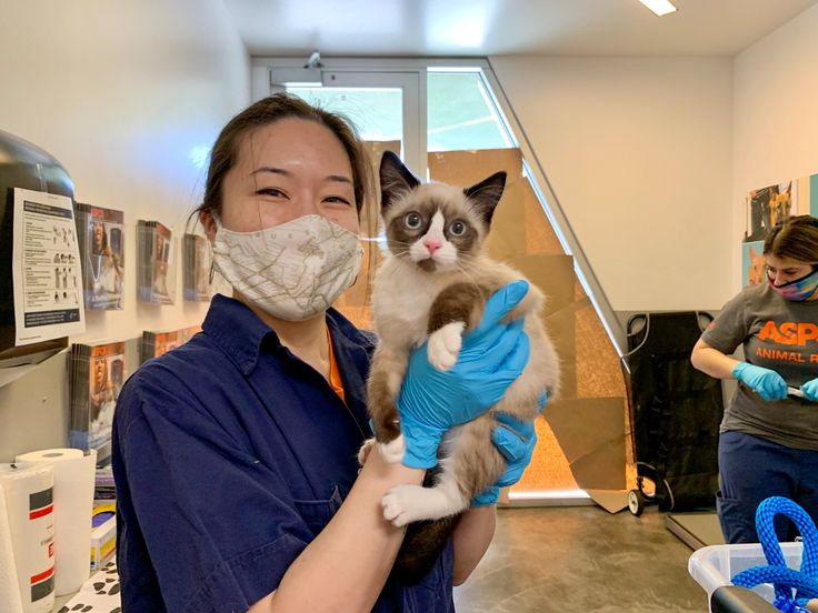 We are still #hiring a Manager of Veterinary Technicians to join our @ASPCA medical team in LA, California. All qualified applicants are welcome to apply for this exciting #jobopportunity. Read more 👇 #VetMed #ASPCA #Careers #ApplyNow careers.aspca.org/search/jobdeta…
