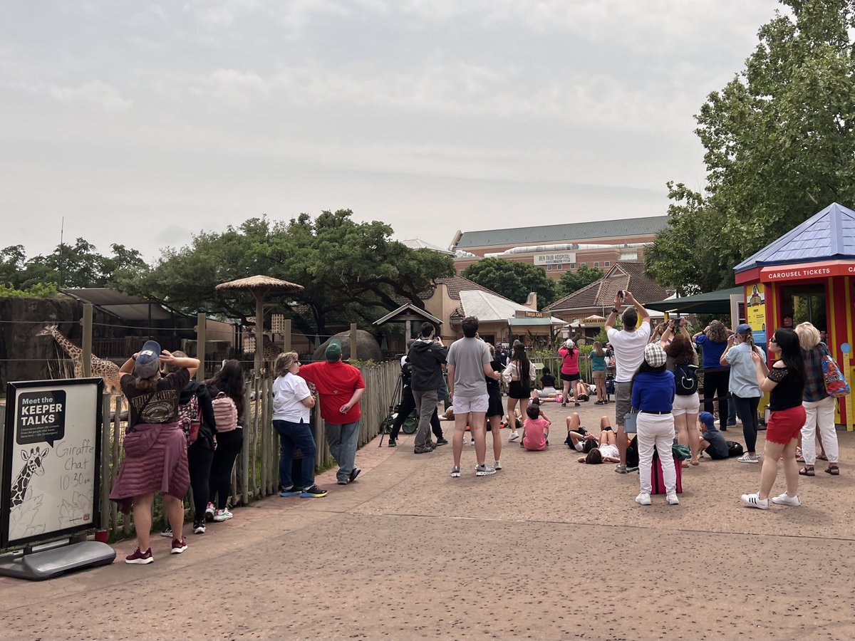 Cloudy with a chance of a partial eclipse! The clouds parted ways just in time to see the action. Here’s what the eclipse looked like from our lens. Thanks to those who watched from the Zoo! 📸: Zoo Staff Sam J., Jackie W., and Wendy B.