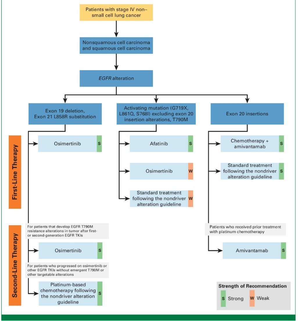 Therapy for Stage IV Non–Small Cell Lung Cancer With and Without Driver Alterations: ASCO Living Guideline Clinical Insights

@JCOOP_ASCO @OncoAlert 
ascopubs.org/doi/pdf/10.120…