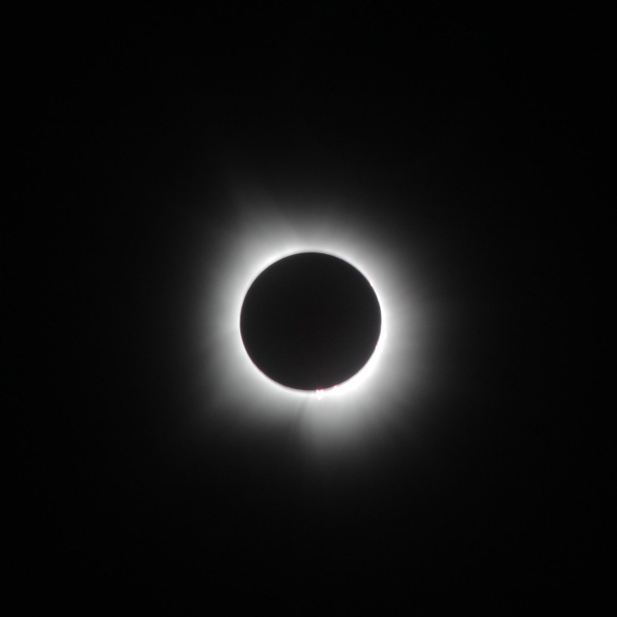 helland_peter's tweet image. Beautiful eclipse just south of Indianapolis!