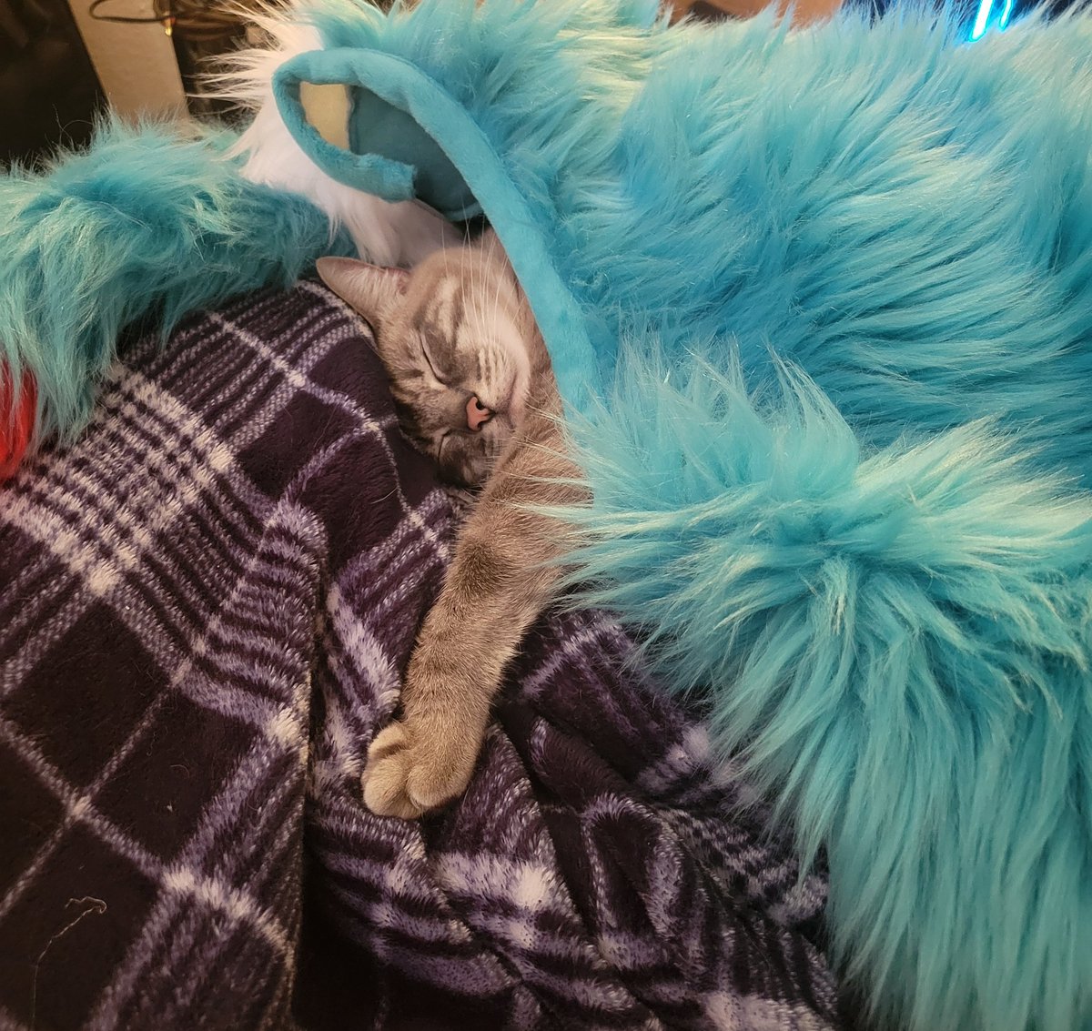 I left my fursuit on my bed and my cat figured out it was the coziest place to nap