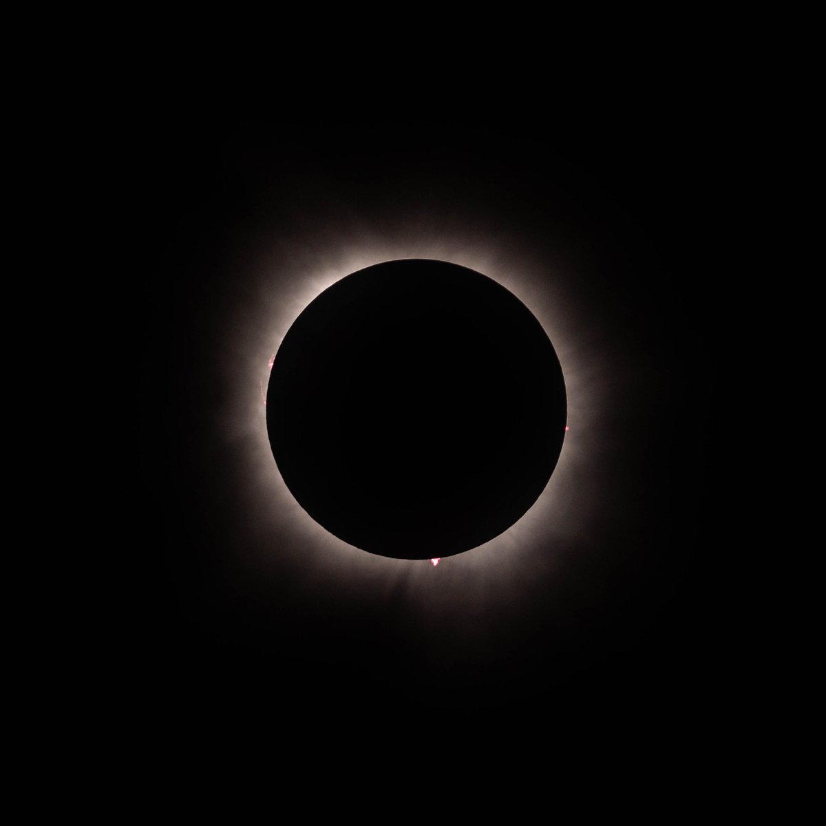 The Solar Eclipse was incredible! I even caught a few solar prominences. Solar Eclipse at 840mm: