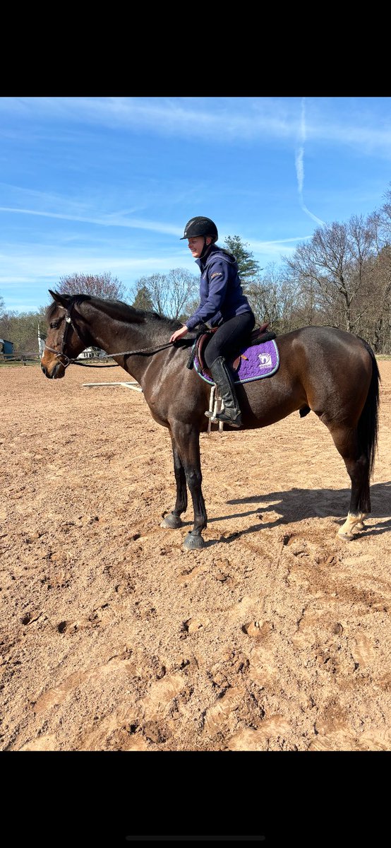 WERK!🩵The beginnings of a frame! ORION’S WAY is connecting the dots! Thank you for our great lesson @cascadeeqcenter The Sweet Potato is truly the best! Love my little (growing) boy💜 #LiamsMap #OTTB #BabyRacehorse