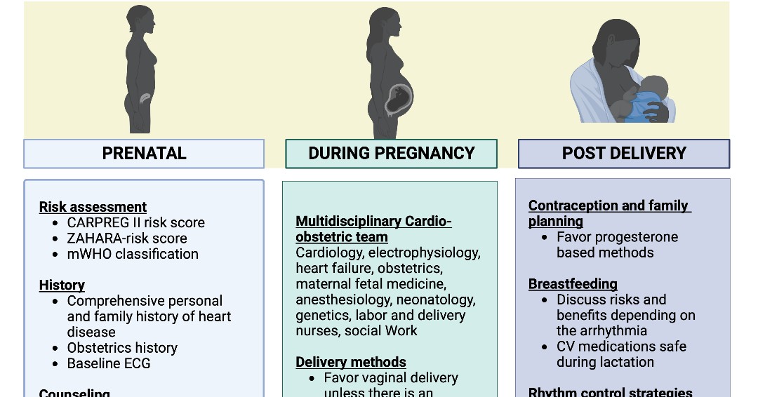 CVD jeopardizes US pregnancies, impacting 1-4% yearly. Cardiac arrhythmias cause concerns for maternal & fetal health. An Overview of Arrhythmias in Pregnancy - @KTamirisaMD @EstefaniaOS @ShwetaPaulraj @AdrianaCMares @avolgman #DeBakeyCVJournal doi.org/10.14797/mdcvj… #CTEPH