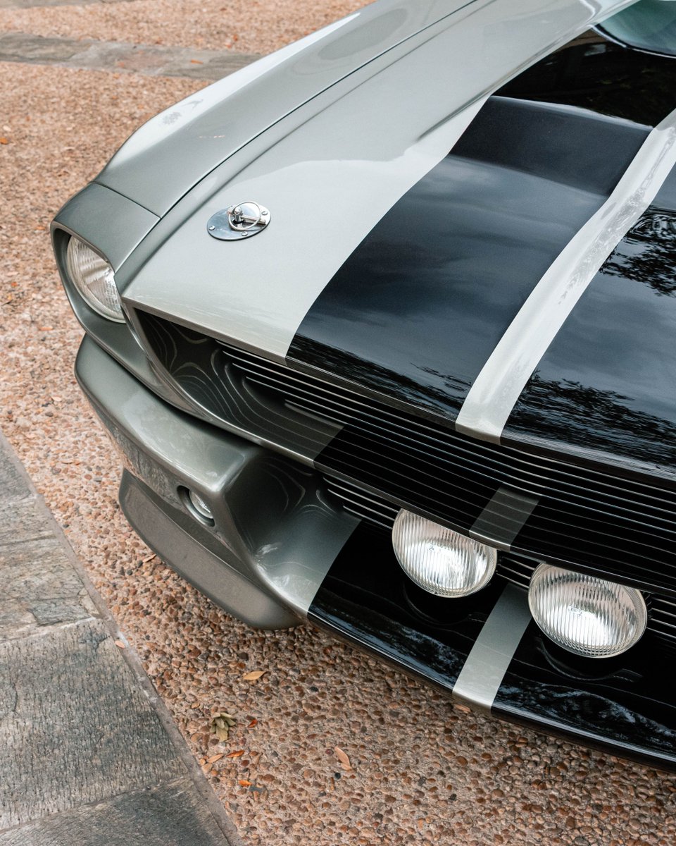 AedanPetty's tweet photo. Calming scenes with the GT500 Eleanor

#shelbyamerican #eleanormustang #gt500 #mustanggt500 #shelbymustang #1967mustang #classicmustang https://t.co/QC81ytpgil