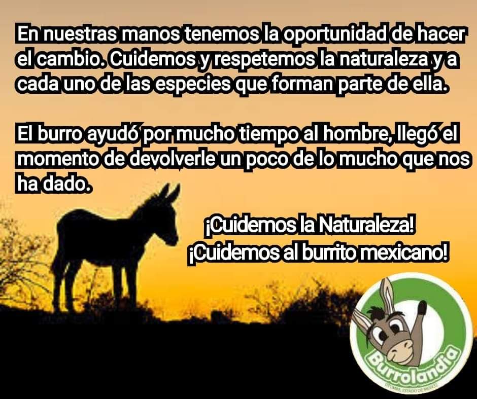 ¡CUIDEMOS LA NATURALEZA!💚💚💚 ¡CUIDEMOS AL BURRITO MEXICANO! 🙏🏻🙏🏻🙏🏻 #unetealproyectoderescatedelburritomexicano Burrolandia México, #Aquenoteaburres!!!