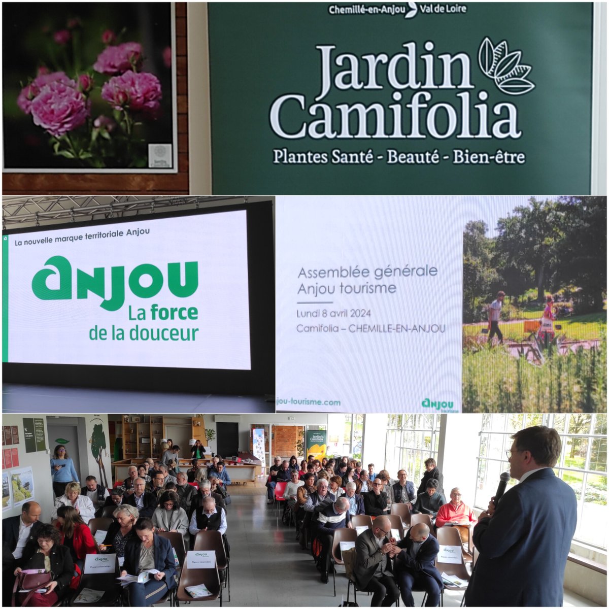 Un honneur et un plaisir d'accueillir l'AG d'Anjou Tourisme au jardin Camifolia ✨ Les indicateurs sont au vert pour porter collectivement l'élan touristique de la marque "Anjou, la force de la douceur " ✨