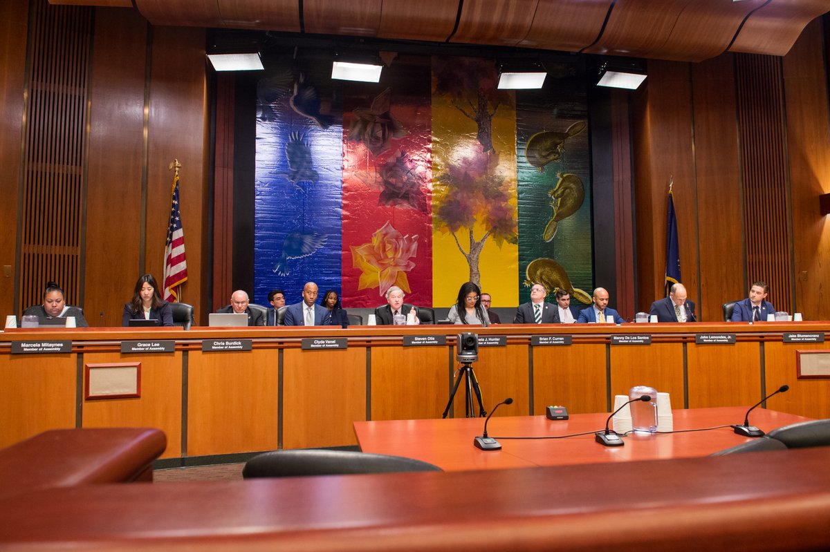 At a recent Banks committee hearing, I spoke with leaders from NY's financial industry about new banking technologies & the need for stronger regulations to keep NYers financially secure, including my bill with @bradhoylman to boost security on peer-to-peer payment apps (A9430).