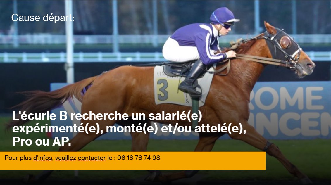 Pierre Belloche tweet media