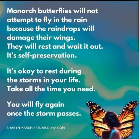 Remember to rest 😴 #MECFS #dysautonomia #longcovid
@LongCOVIDPhysio @sunsopeningband @angryhacademic @Doc_Valerie @drclairetaylor @OnTapPhysio  @LauraMiers @Hopesaxons @LadyBraginton @ohtw