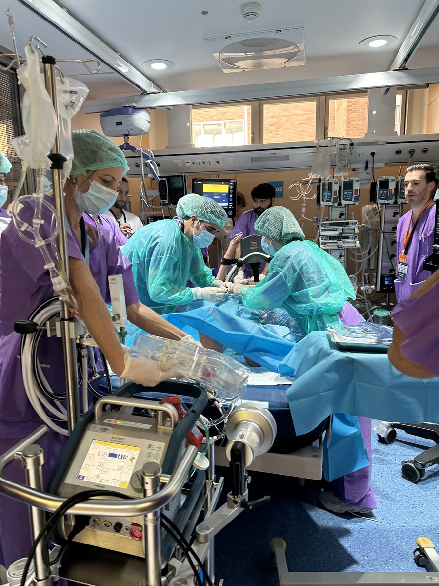 Eduard Argudo tweet media