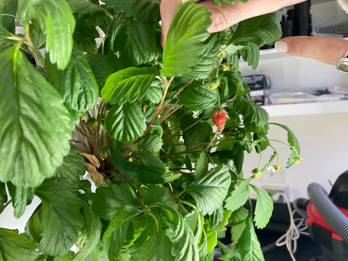 Debbie Alspach tweet media