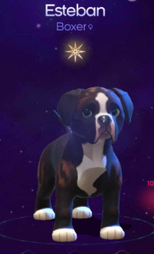 AsteroPrel's tweet photo. Voici mon nouveau #GammaDogami !
Bienvenue à Esteban qui a enfin trouvé sa mystérieuse cité d'or ! 💜🐾

Enfant du soleil,
Tu parcours la terre, le ciel,
Cherche ton chemin,
C'est ta vie, c'est ton destin (Le world Championship) !

@Dogami https://t.co/q8p5yK6e8R