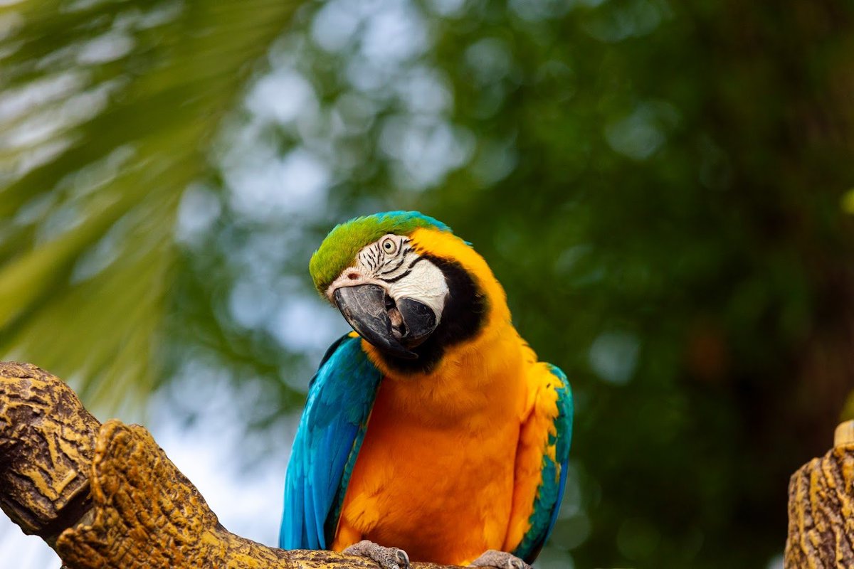 #NationalZooLoversDay is here and it’s the perfect time to visit some of your favorites at our award-winning @ZooTampa ecological park. Featuring exotic animals from all over the world, interactive exhibits, a splash area and more, ZooTampa makes it easy to love the Zoo!