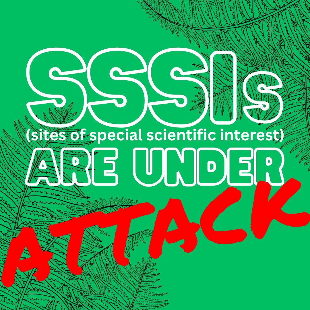 We need to safeguard the vital protection that SSSIs provide!