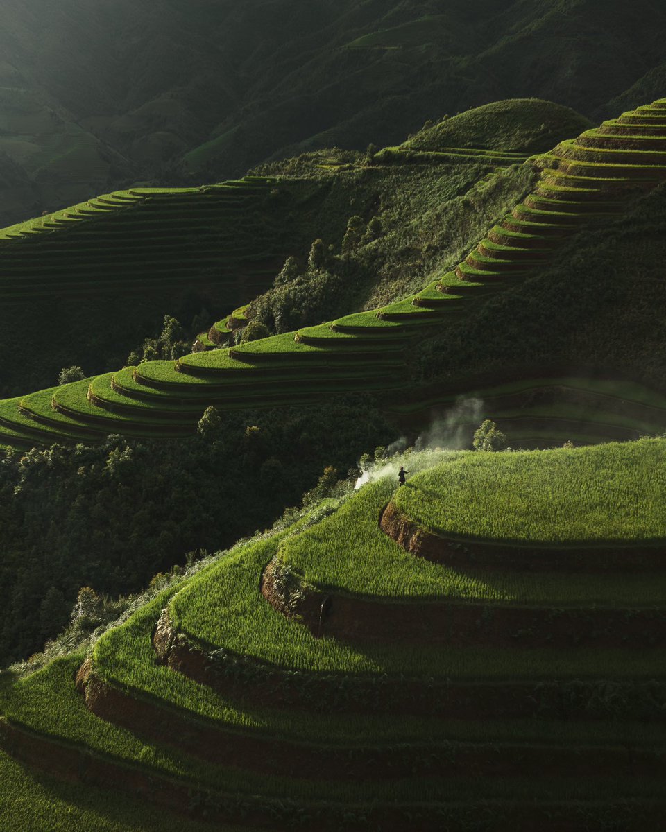 Afternoon light in northern Vietnam 🍃