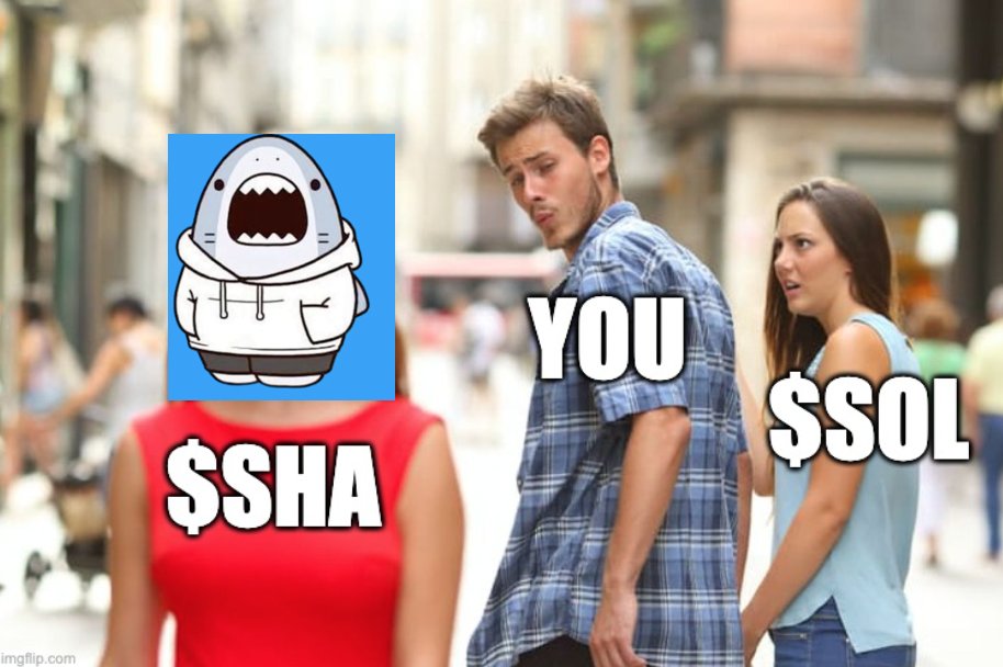 maccc94's tweet photo. @SolanaPlays $SHA is part of Wave 2 fo sho! https://t.co/Lz6P5FGWTD