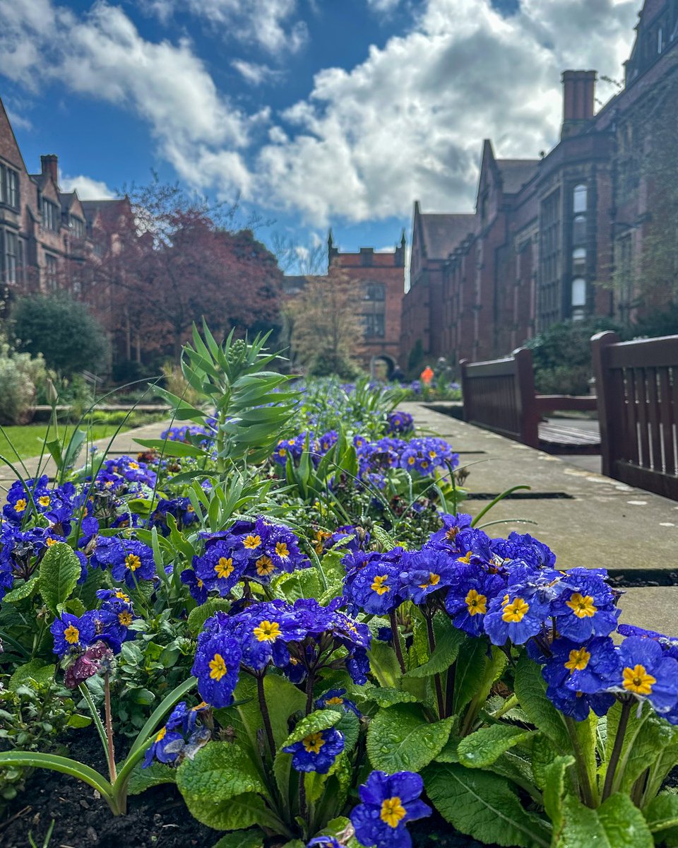 'Campus looking pretty 🌺' Simona #mynclpics

Insta📸 simlenx