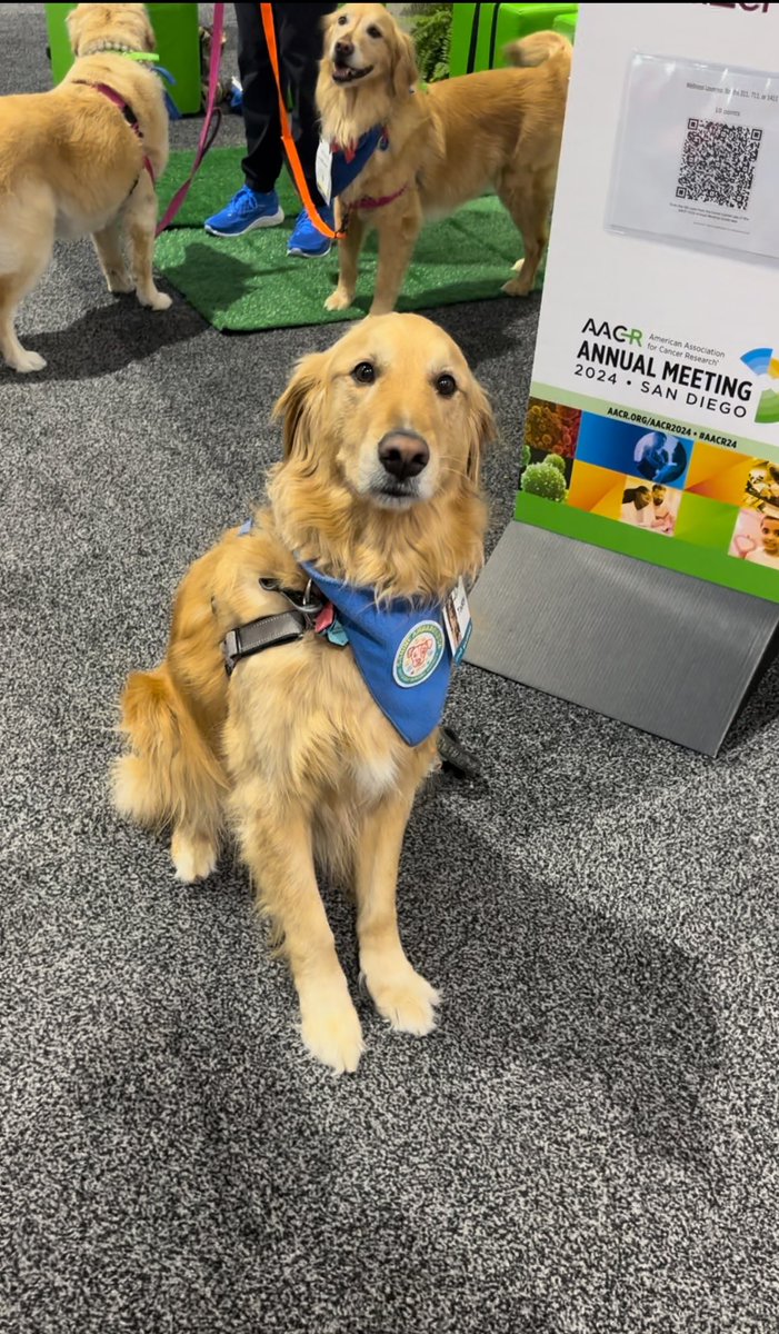 Joanna C Lima (@joannaclima) on Twitter photo Wellness lounge at #AACR24  . Best young scientist ever 🧬🤌🏼 
His face is like: can you please employ me? 
#CancerResearch #AACR24 #science Wellness lounge at #AACR24  . Best young scientist ever 🧬🤌🏼 
His face is like: can you please employ me? 
#CancerResearch #AACR24 #science