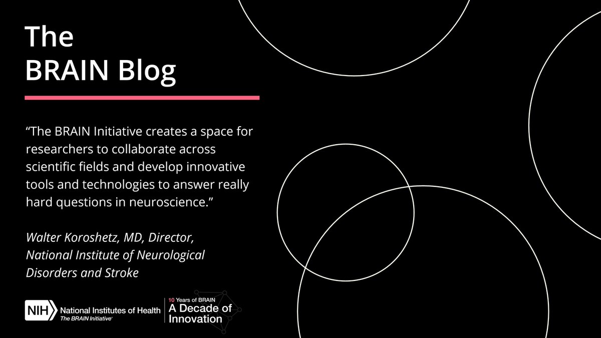 If you’re interested in BRAIN-funded research, I encourage you to check out a new @NIH blog series: The BRAIN Blog 🧠! The first post, written by @NINDSdirector Dr. Walter Koroshetz, explores what makes the BRAIN Initiative unique: go.nih.gov/S390hd4 #studyBRAIN