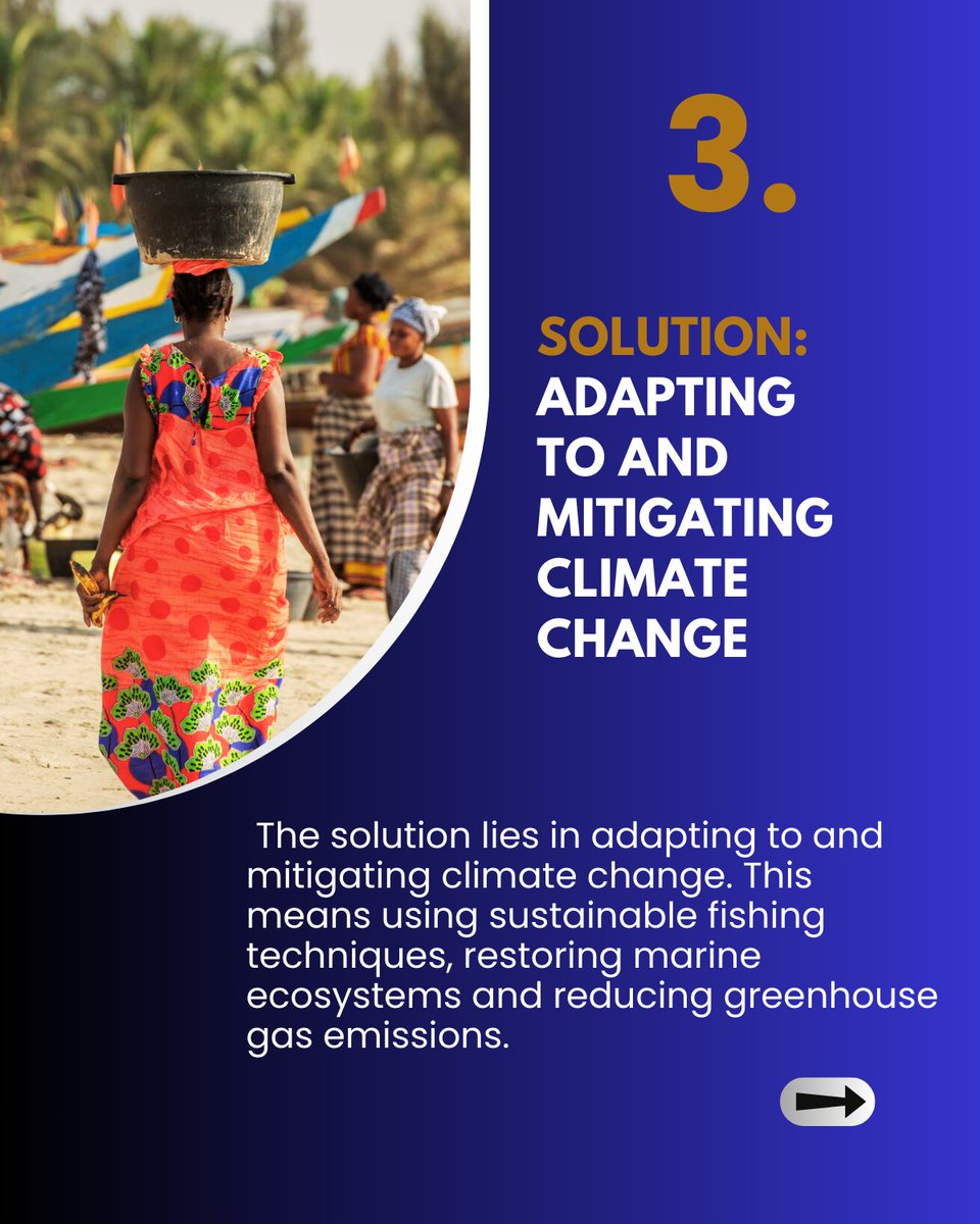 🌍 Climate change, 🚤 Artisanal fishing in #Africa: A way of life in danger ⛈Warmer waters, fewer fish 🆘 Dependent communities in distress ✅ Time to act! 7 @SSF_Nicole @NdiagaGueye3 @ecowas_agric